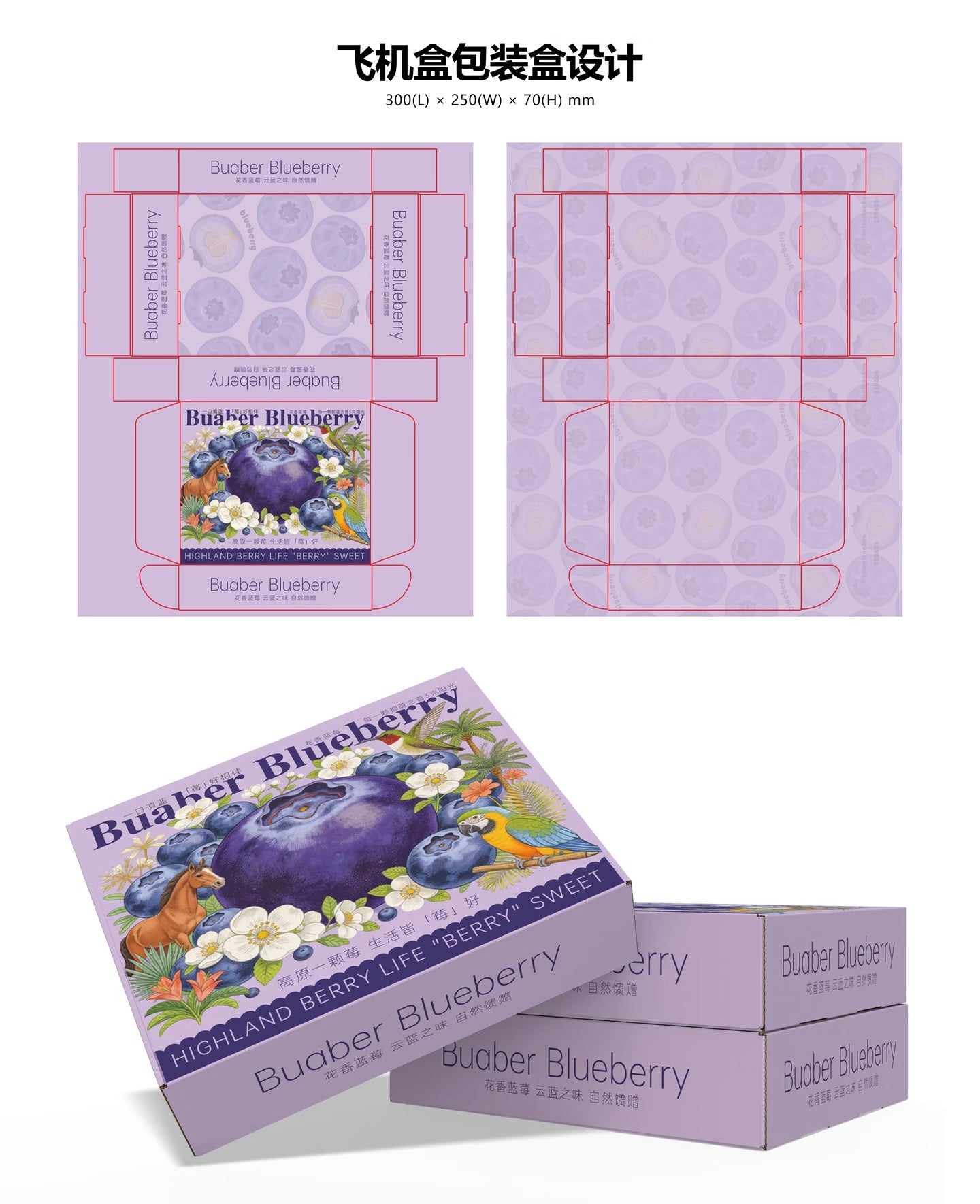 Custom Printed Mailer Box | Full Color Packaging