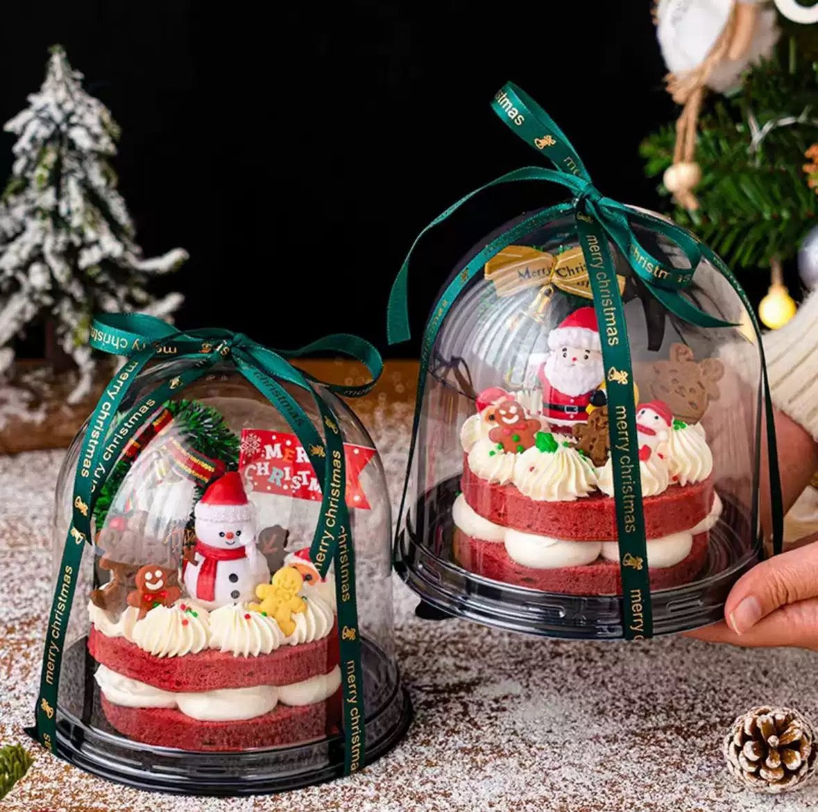 Mini Clear Dome Cake Box Individual Dessert Packaging for Bento Cakes and Cupcakes