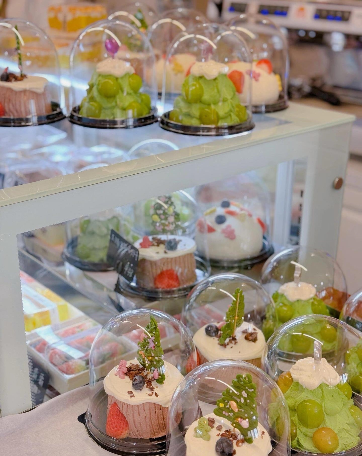 Mini Clear Dome Cake Box Individual Dessert Packaging for Bento Cakes and Cupcakes