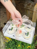 Clear Lid Cupcake Packaging Box 6 Cavity | Transparent Dessert Gift Box with Insert