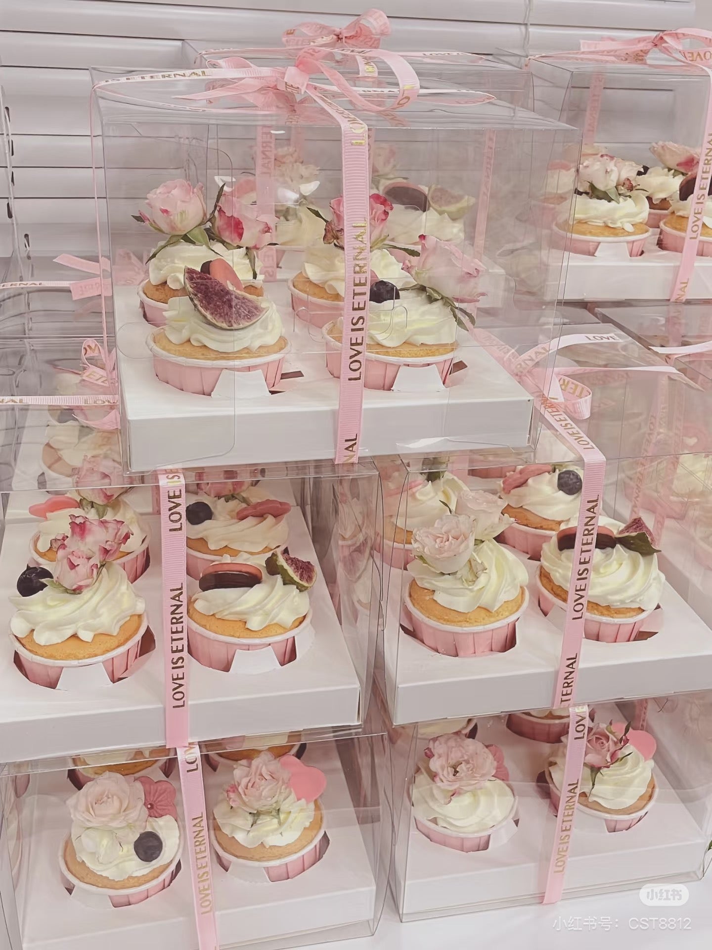 Clear Lid Cupcake Packaging Box 6 Cavity | Transparent Dessert Gift Box with Insert